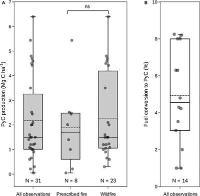 Pyrogenic Carbon Generation From Fire and Forest Restoration Treatments